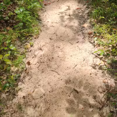 Sandstone Canyon Trail Trailhead - Cedar Hill, MO