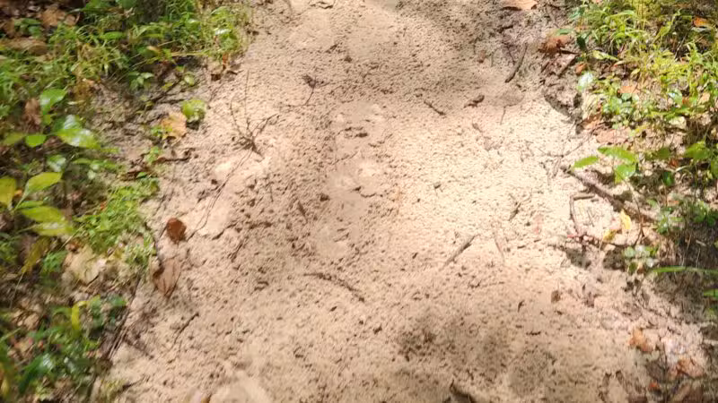 Sandstone Canyon Trail Trailhead - Cedar Hill, MO
