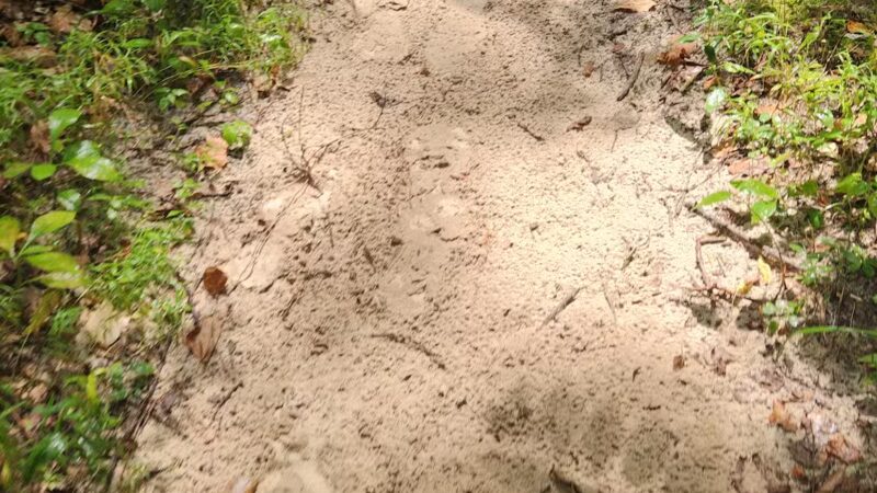 Sandstone Canyon Trail Trailhead - Cedar Hill, MO