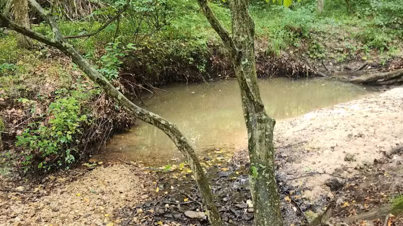 Sandstone Canyon Trail Trailhead - Cedar Hill, MO