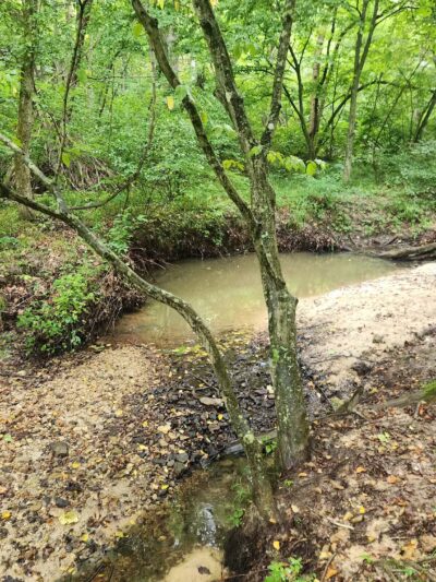 Sandstone Canyon Trail Trailhead - Cedar Hill, MO