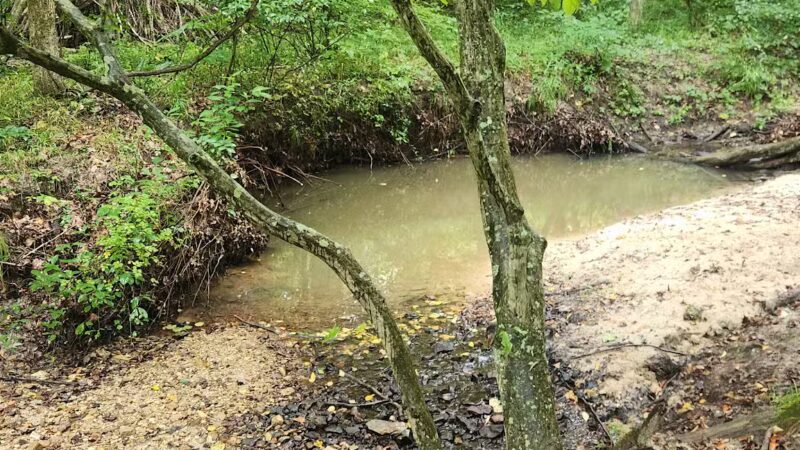 Sandstone Canyon Trail Trailhead - Cedar Hill, MO