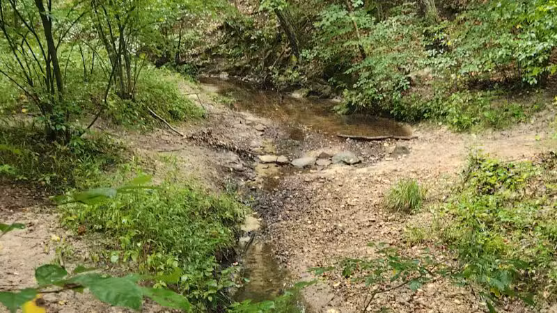 Sandstone Canyon Trail Trailhead - Cedar Hill, MO