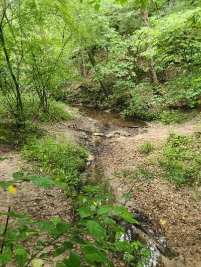 Sandstone Canyon Trail Trailhead - Cedar Hill, MO