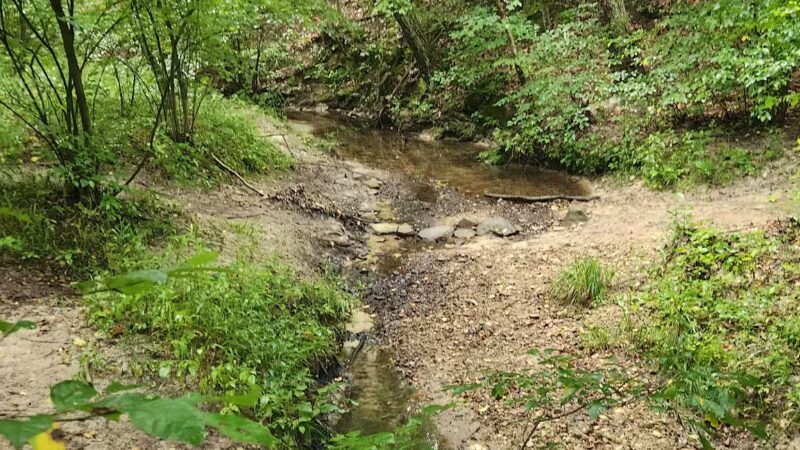Sandstone Canyon Trail Trailhead - Cedar Hill, MO