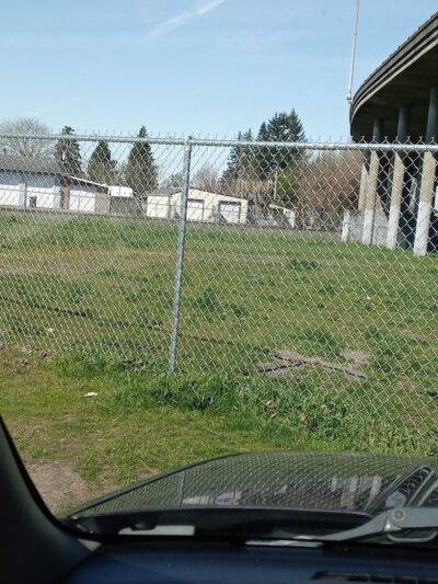 South Gold Street dog park