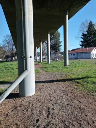 South Gold Street dog park