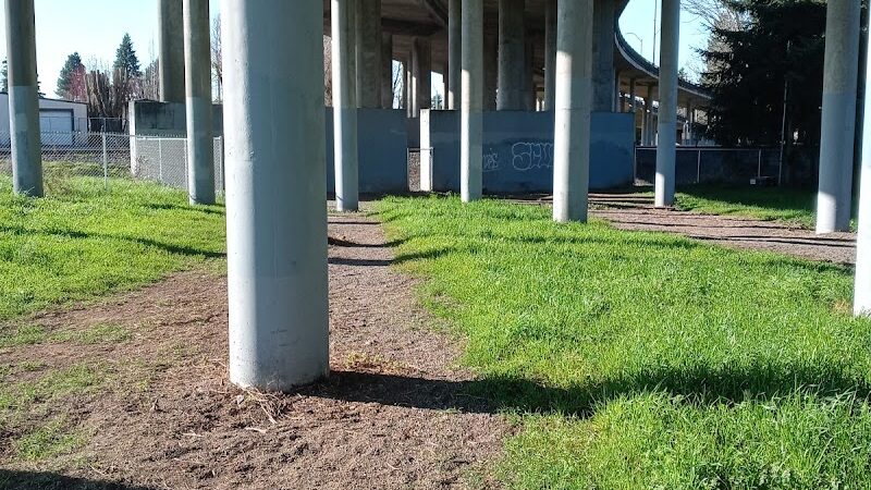 South Gold Street dog park