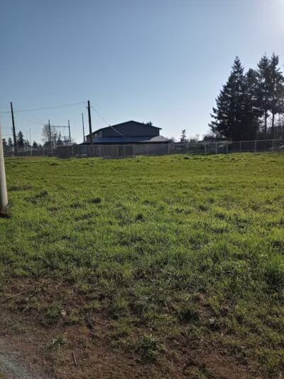 South Gold Street dog park