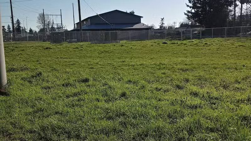 South Gold Street dog park