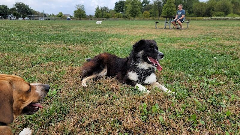 Champaign Bark District (Private/Members Only) - Champaign, IL