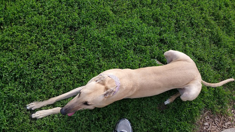 Champaign Bark District (Private/Members Only) - Champaign, IL