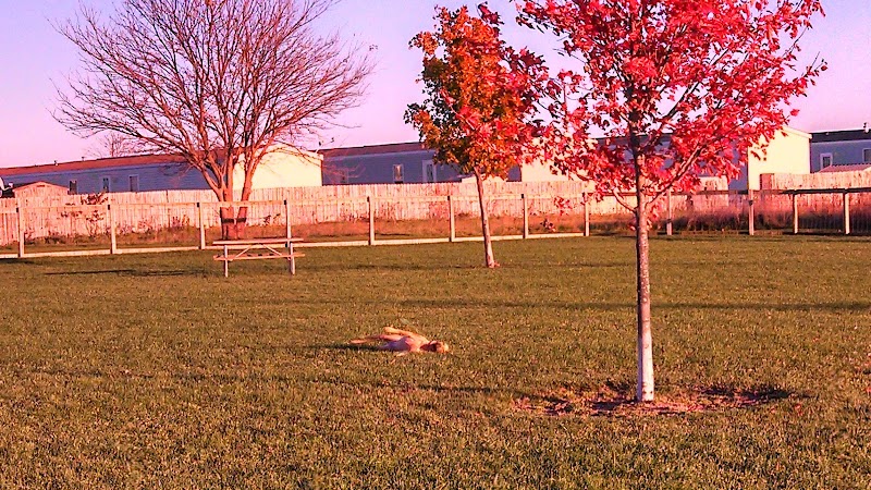 Champaign Bark District (Private/Members Only) - Champaign, IL