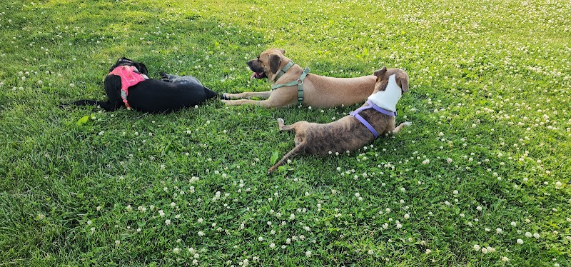 Champaign Bark District (Private/Members Only) - Champaign, IL