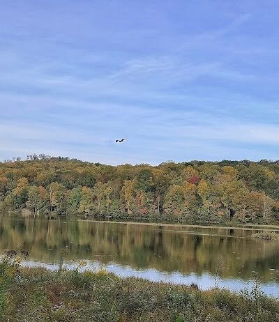 Indian Creek Valley Rail Trail - Champion Trailhead - Champion, PA