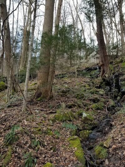 Indian Creek Valley Rail Trail - Champion Trailhead - Champion, PA
