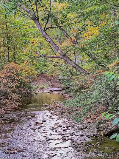 Indian Creek Valley Rail Trail - Champion Trailhead - Champion, PA