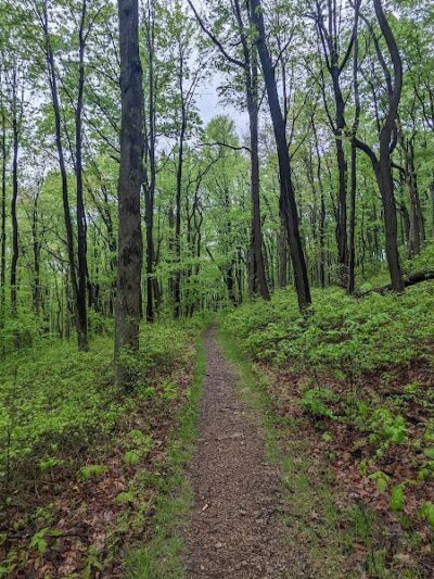 Roaring Run Natural Area - Champion, PA