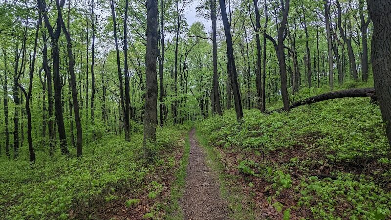 Roaring Run Natural Area - Champion, PA
