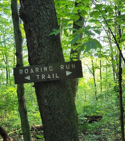 Roaring Run Natural Area - Champion, PA