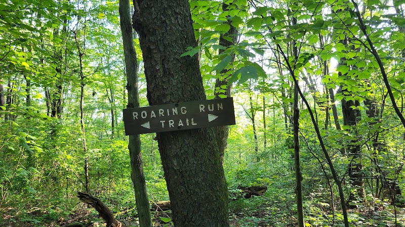 Roaring Run Natural Area - Champion, PA