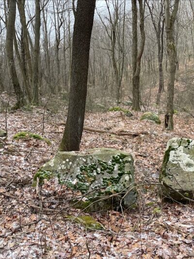 Roaring Run Natural Area - Champion, PA