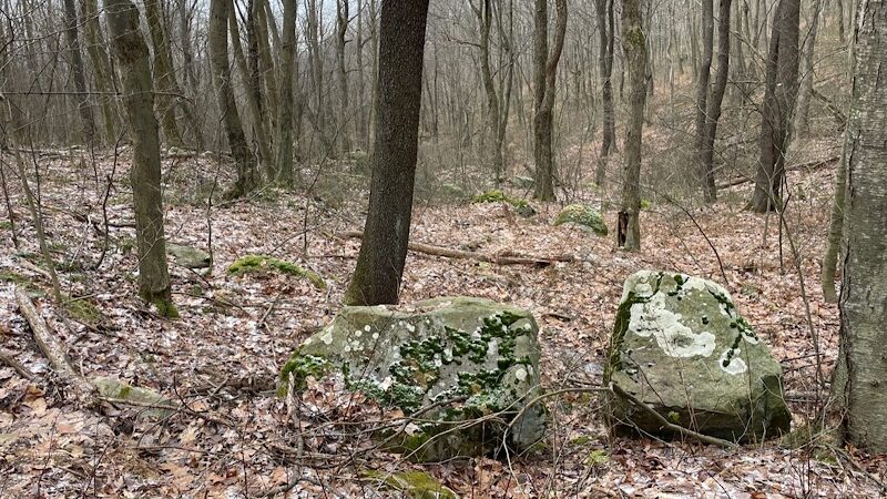 Roaring Run Natural Area - Champion, PA