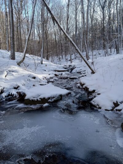 Roaring Run Natural Area - Champion, PA