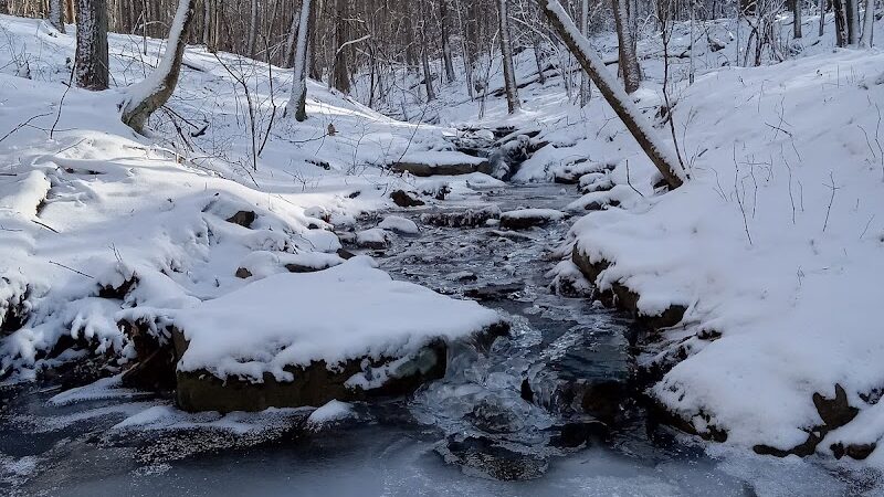 Roaring Run Natural Area - Champion, PA
