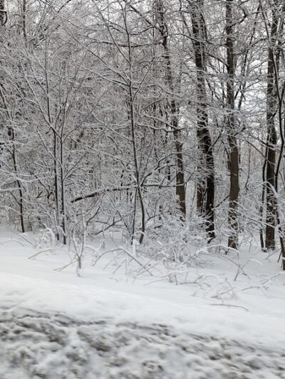 Roaring Run Natural Area - Champion, PA