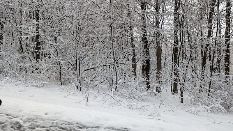 Roaring Run Natural Area - Champion, PA