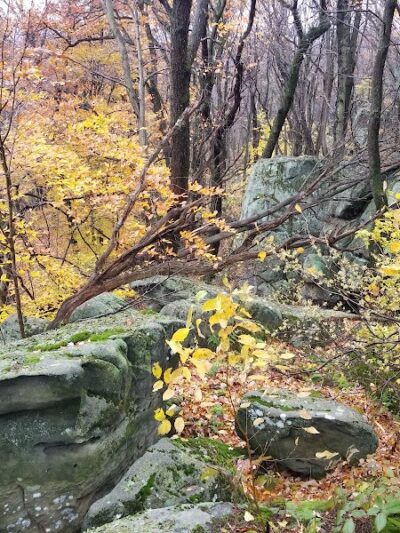 Roaring Run Natural Area - Champion, PA