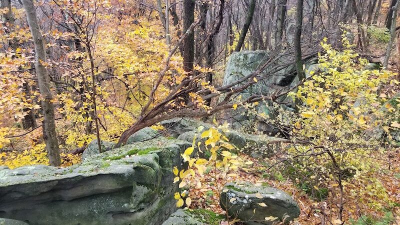 Roaring Run Natural Area - Champion, PA
