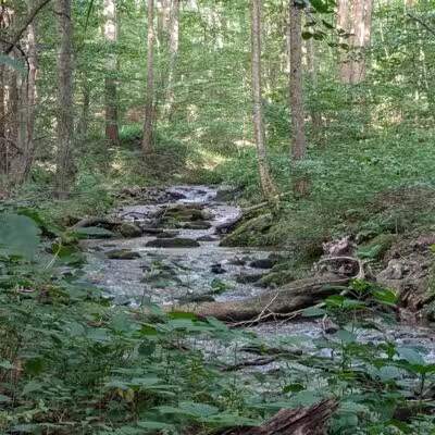 Roaring Run Natural Area - Champion, PA