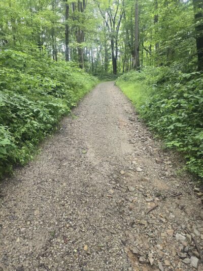 Roaring Run Natural Area - Champion, PA