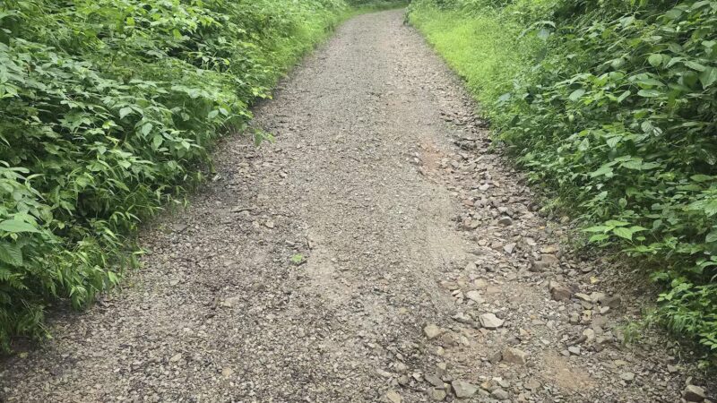 Roaring Run Natural Area - Champion, PA