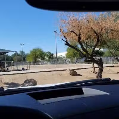 Nozomi Dog Park - Chandler, AZ