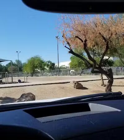 Nozomi Dog Park - Chandler, AZ