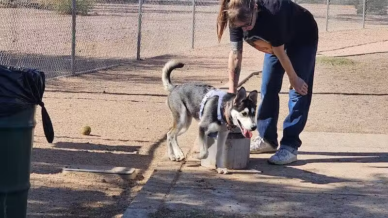 Nozomi Dog Park - Chandler, AZ