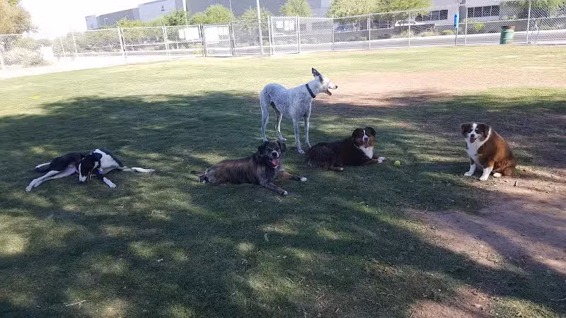 Nozomi Dog Park - Chandler, AZ