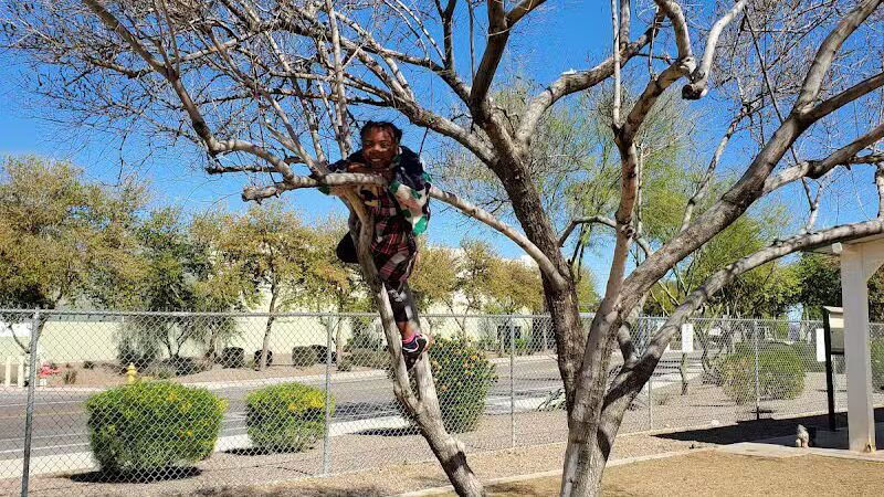 Nozomi Dog Park - Chandler, AZ