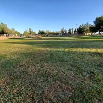 Shawnee Dog Park - Chandler, AZ