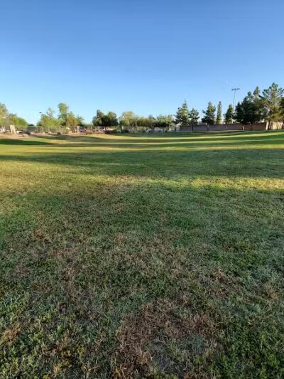 Shawnee Dog Park - Chandler, AZ