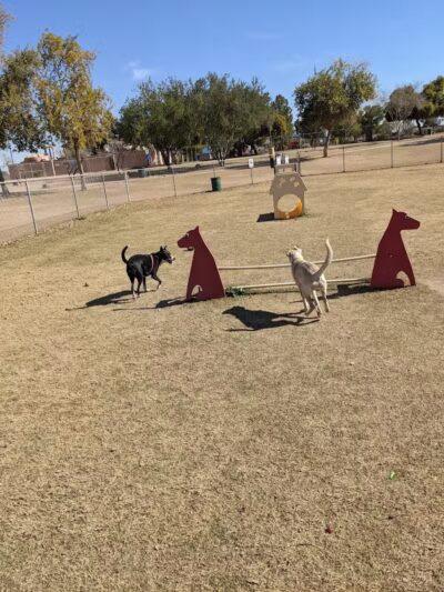 Shawnee Dog Park - Chandler, AZ