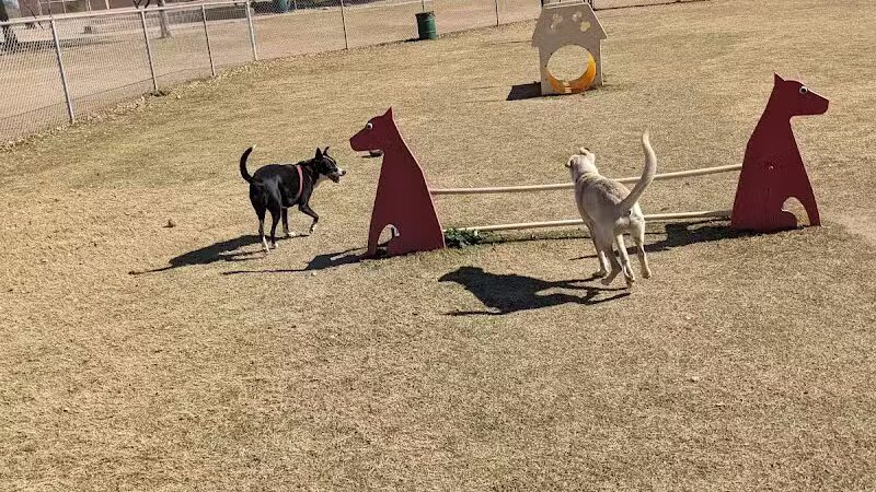 Shawnee Dog Park - Chandler, AZ