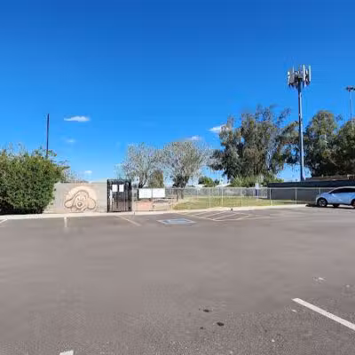 Snedigar Dog Park - Chandler, AZ