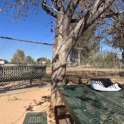 Snedigar Dog Park - Chandler, AZ