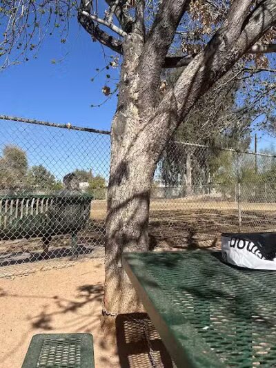 Snedigar Dog Park - Chandler, AZ