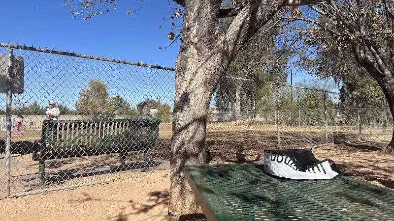 Snedigar Dog Park - Chandler, AZ
