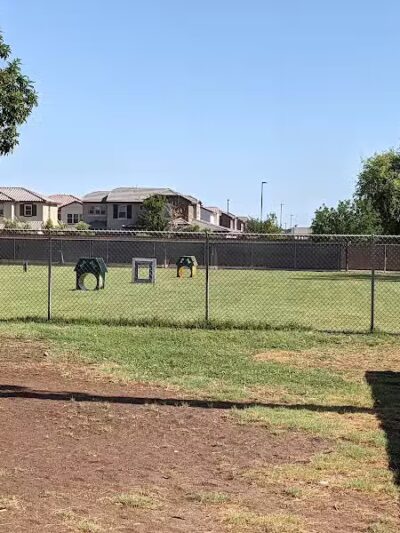 Snedigar Dog Park - Chandler, AZ